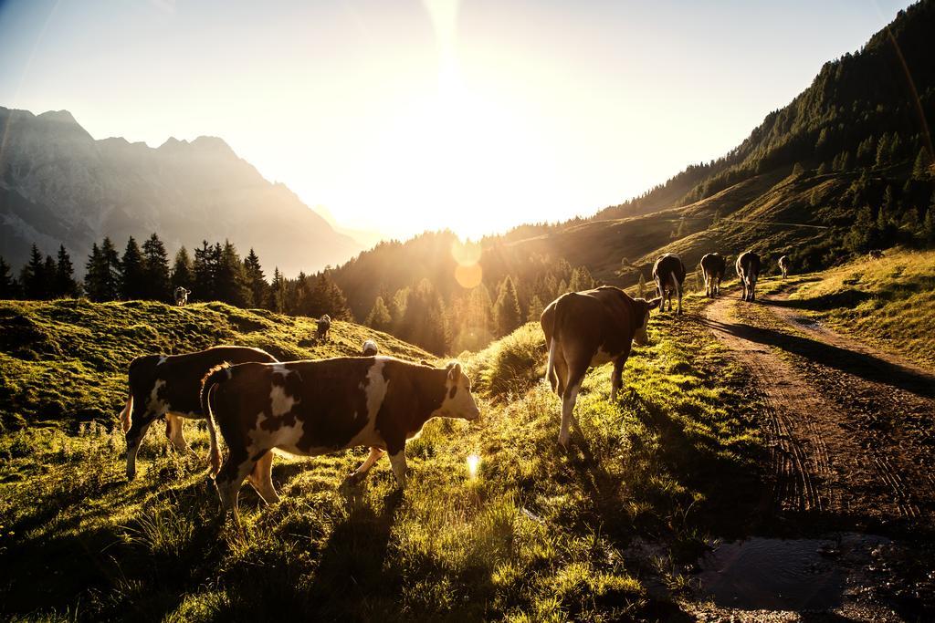 Ansitz Wirtsgut - Familienappartements In Den Bergen Leogang Buitenkant foto